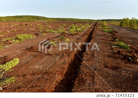 Drainage ditch in the peat extraction site. Drainage ditch in the peat extraction site. 71455323