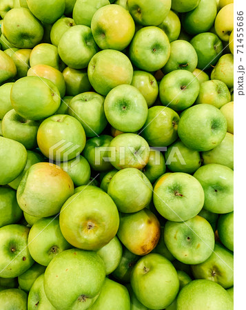lots of ripe fruit sweet apples for cooking as a background 71455686