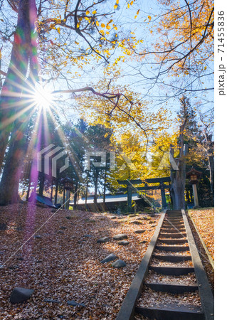 諏訪大社上社・前宮 71455836