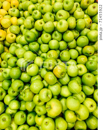 lots of ripe fruit sweet apples for cooking as a background 71455922