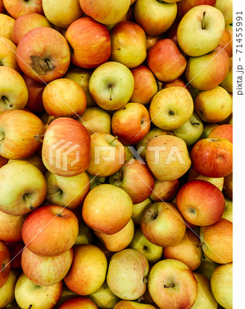 lots of ripe fruit sweet apples for cooking as a background 71455991