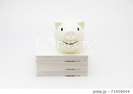 A stack of textbooks with a white piggy bank A stack of textbooks with a white piggy bank 71456044