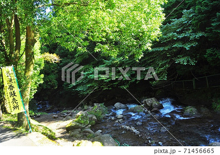 伊勢原市日向　日向渓谷（日向川） 71456665