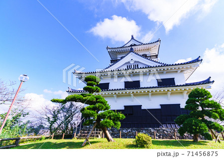 館山 館山城 城山公園 【館山市 千葉県】 館山 館山城 城山公園 【館山市 千葉県】 71456875