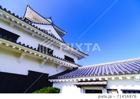 館山 館山城 城山公園 【館山市 千葉県】 館山 館山城 城山公園 【館山市 千葉県】 71456876