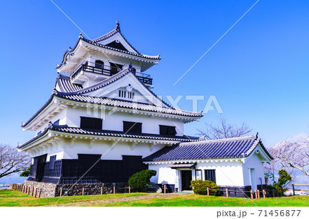 館山 館山城 城山公園 【館山市 千葉県】 館山 館山城 城山公園 【館山市 千葉県】 71456877