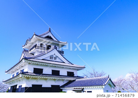 館山 館山城 城山公園 【館山市 千葉県】 館山 館山城 城山公園 【館山市 千葉県】 71456879