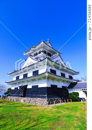 館山　館山城　城山公園　【館山市　千葉県】 71456880