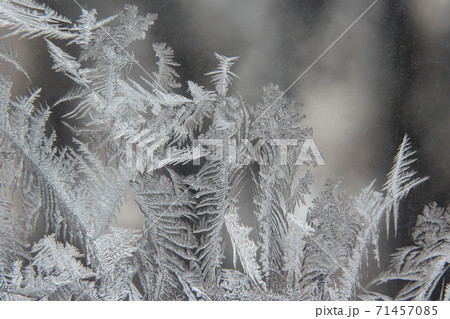 variety of frost patterns on a winter window variety of frost patterns on a winter window 71457085
