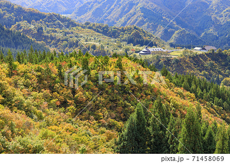 八海山ロープウェイ　紅葉 71458069