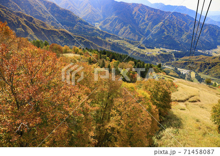 八海山ロープウェイ　紅葉 71458087