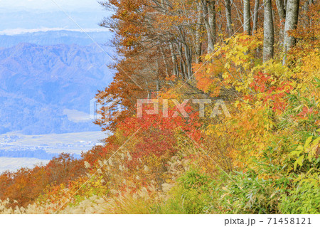 八海山ロープウェイ 紅葉 八海山ロープウェイ 紅葉 71458121