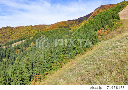 八海山ロープウェイ　紅葉 71458173