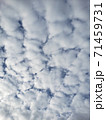 青空 71459731