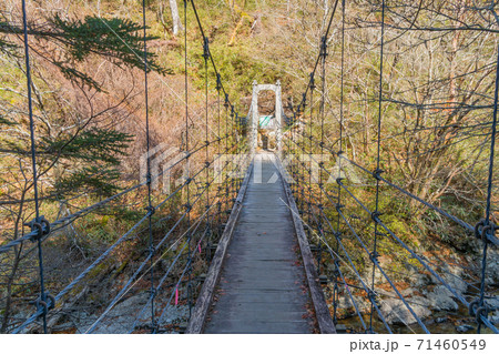 シオカラ谷吊り橋(大台ヶ原山) シオカラ谷吊り橋(大台ヶ原山) 71460549