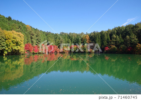 伊奈ヶ湖(南伊奈ヶ湖 山梨県 南アルプス市) 伊奈ヶ湖(南伊奈ヶ湖 山梨県 南アルプス市) 71460745