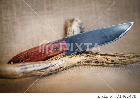 Hunter combat hand made knife and deer antlers Hunter combat hand made knife and deer antlers 71462479