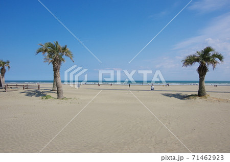 九十九里浜・本須賀海岸(千葉県山武市) 九十九里浜・本須賀海岸(千葉県山武市) 71462923