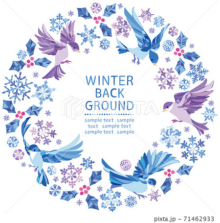 冬の雪の結晶 小鳥の丸フレーム のイラスト素材