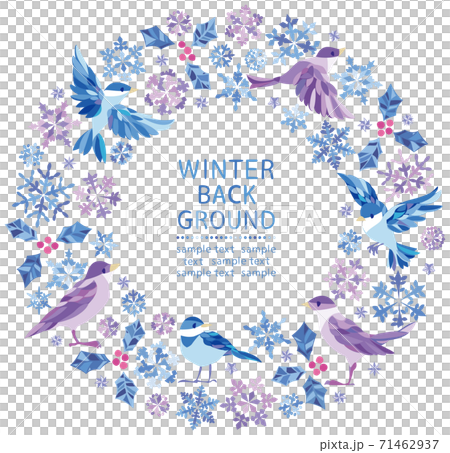 冬の雪の結晶 小鳥の丸フレーム のイラスト素材