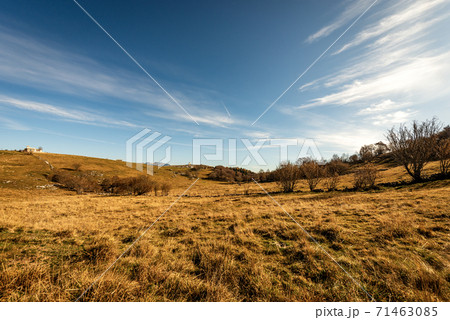 Lessinia Plateau in autumn with brown meadows - Alps Veneto Italy 71463085
