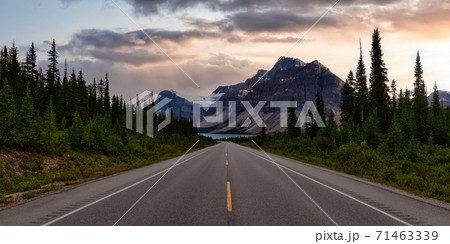 Scenic road in the Canadian Rockies Scenic road in the Canadian Rockies 71463339
