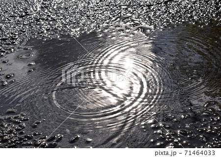 水たまりの波紋の写真素材