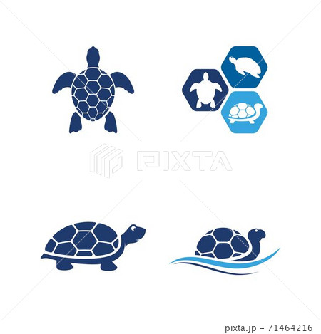 Turtle Animal Cartoon Iconのイラスト素材