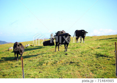 四国カルスト 71464985