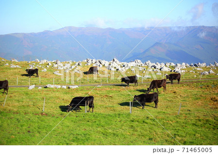 四国カルスト 71465005