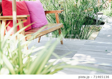 papyrus leaves plant growing in pond beside wooden chair on terrace 71465136