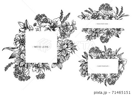 Floral frames with black and white anemone, lavender, rosemary everlasting, phalaenopsis, lily, iris 71465151
