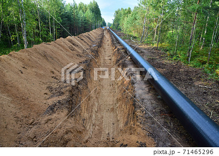 Crude oil and Natural gas pipeline construction work in forest area.   71465296
