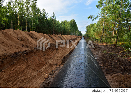 Crude oil and Natural gas pipeline construction work in forest area.   71465297