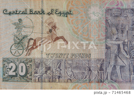 Macro shot of twenty egyptian pounds bill 71465468