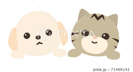 犬と猫 顔と手 べくターイラスト 背景白 犬と猫 顔と手 べくターイラスト 背景白 71466142