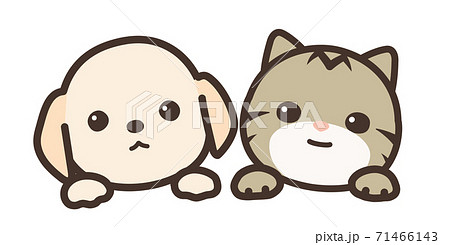 犬と猫 顔と手 べくターイラスト 背景白のイラスト素材