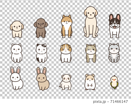 ペット　動物のベクターイラストセット　犬、猫、兎、小動物 71466147