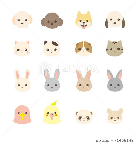 Pet animal face icon set dogs, cats, rabbits,... - Stock Illustration  [71466148] - PIXTA