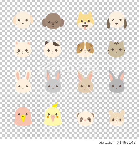 Pet animal face icon set dogs, cats, rabbits, small animals 71466148