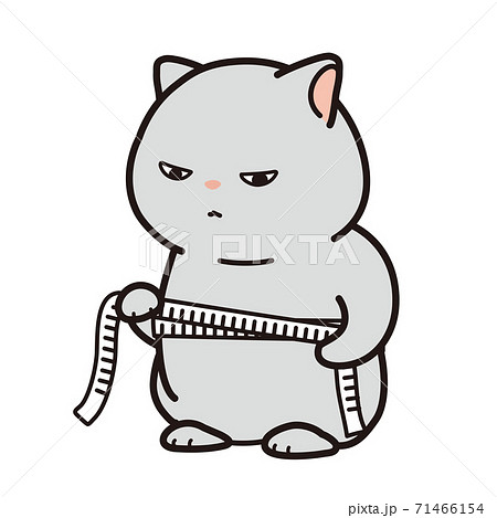 メジャーでウエストを測る猫 71466154