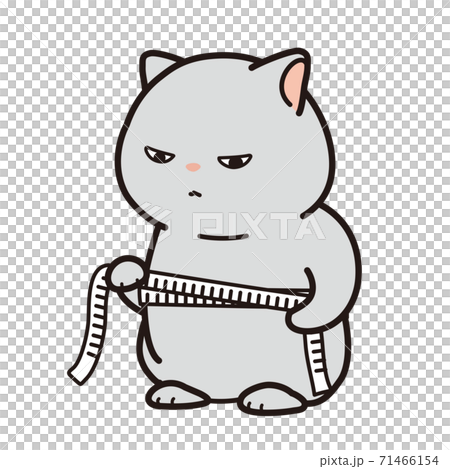 メジャーでウエストを測る猫 71466154