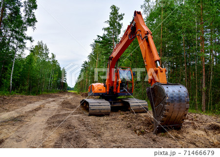 Excavator clearing forest for new development.  71466679