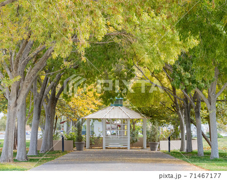 Morning view of the Kiosk in Floyd Lamb Park 71467177