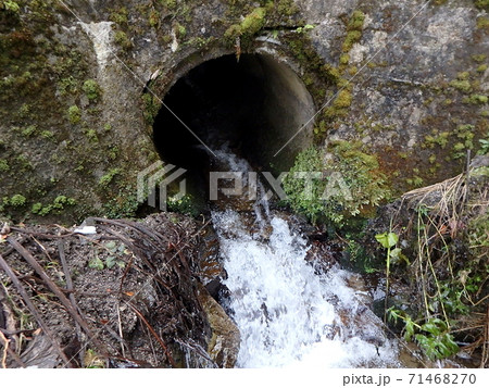 Flowing water through pipe in the forest 71468270