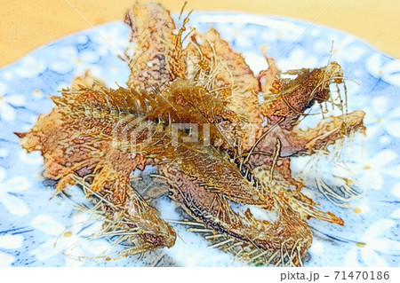 見栄えは良くないが家庭的で素朴な自宅調理の「鰯の骨煎餅」色鉛筆画風 見栄えは良くないが家庭的で素朴な自宅調理の「鰯の骨煎餅」色鉛筆画風 71470186