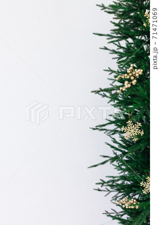 Christmas card for the new year presents the Christmas tree pine decor white background for the inscription Christmas card for the new year presents the Christmas tree pine decor white background for the inscription 71471069