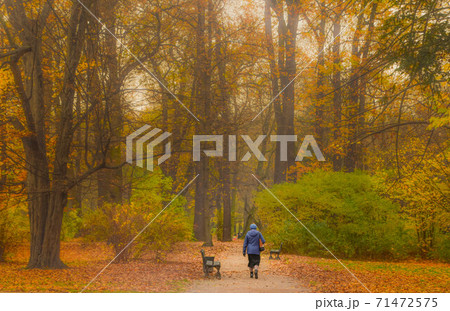 秋の公園 秋の公園 71472575