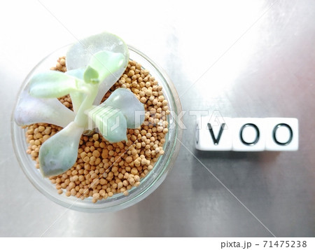 明るい光の中でVOOと並べられたサイコロ文字と植物1 明るい光の中でVOOと並べられたサイコロ文字と植物1 71475238