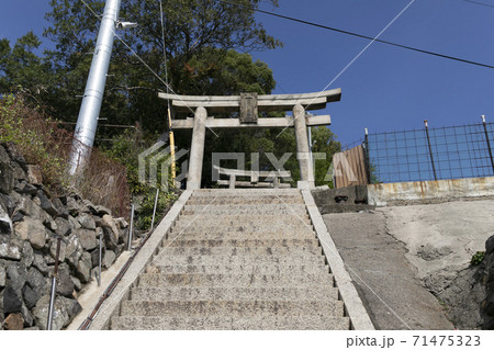 豊玉姫神社参道の石段と石鳥居 71475323